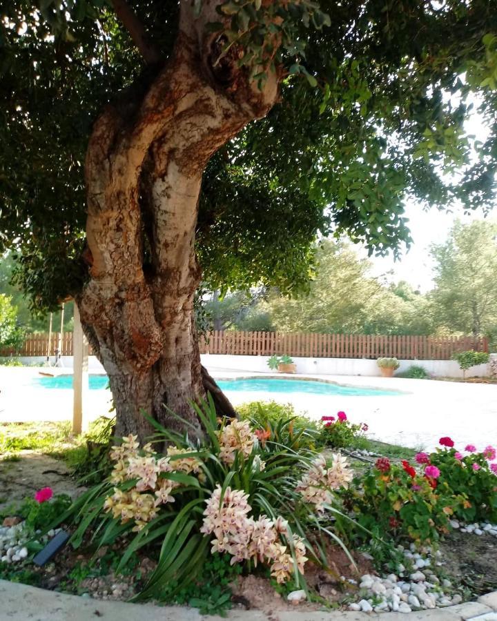 Casa Mariseta Y Tonet, Naturaleza A 2 Km Del Mar Κάλπε Εξωτερικό φωτογραφία